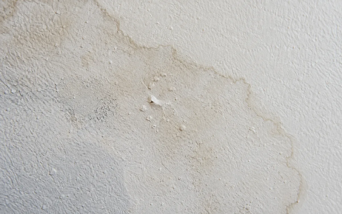 Auréole discrète et peinture légèrement cloquée sur un mur après un dégât des eaux