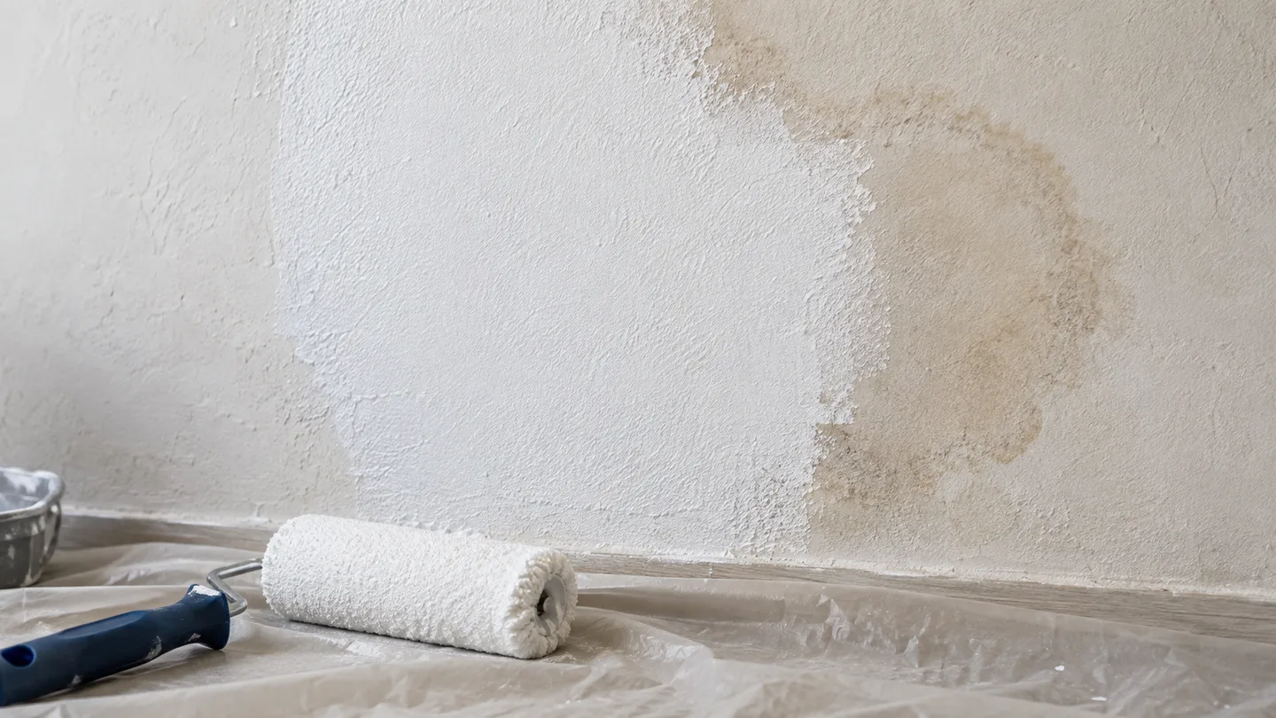 Primaire isolant blanc appliqué sur une ancienne auréole avant peinture